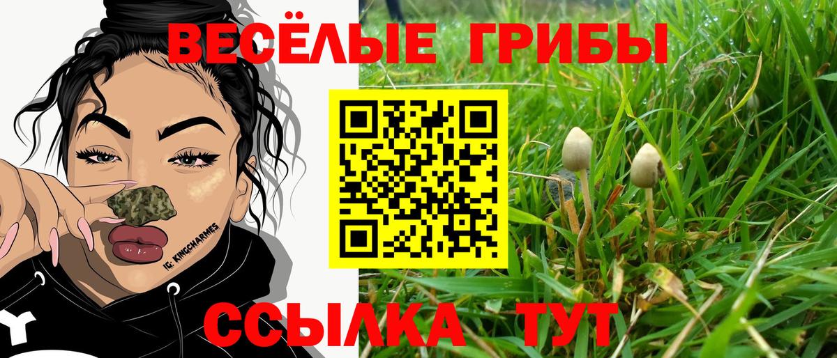Псилоцибиновые грибы ЛСД  Вход с VPN  Миллерово 